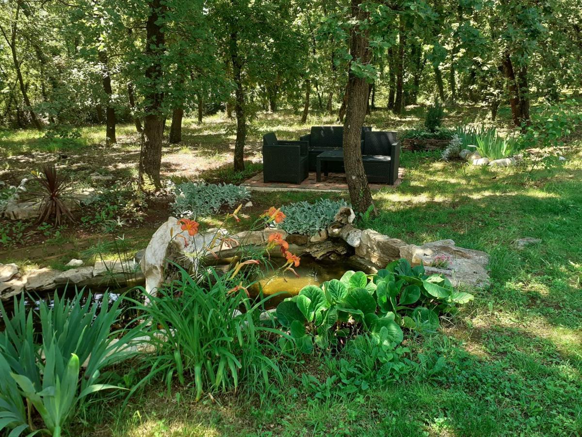 Bed And Breakfast Julia Seget  Esterno foto