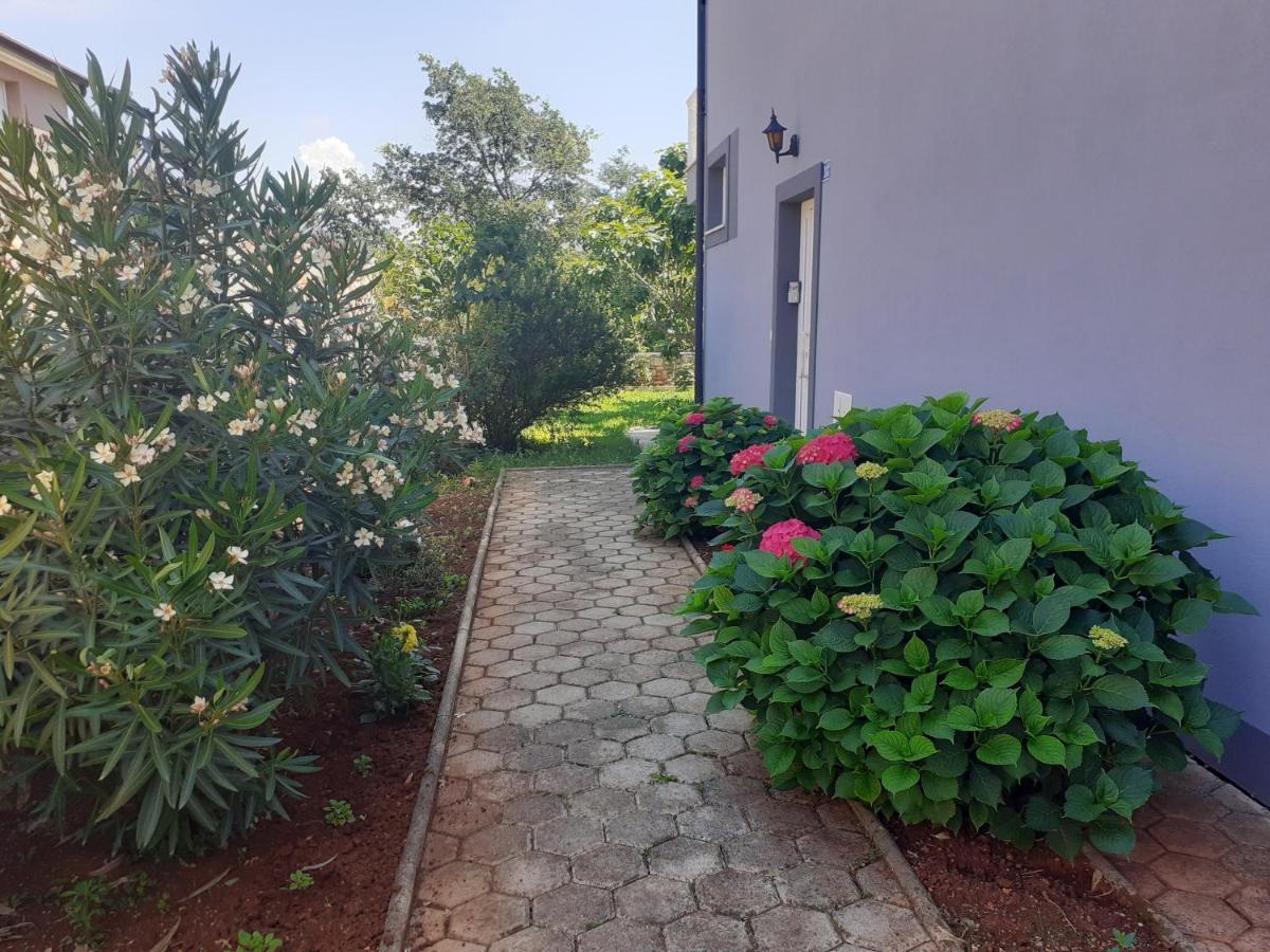 Bed And Breakfast Julia Seget  Esterno foto